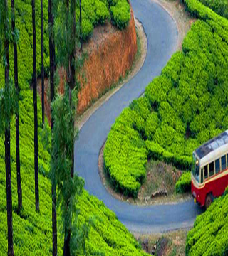 ooty-munnar