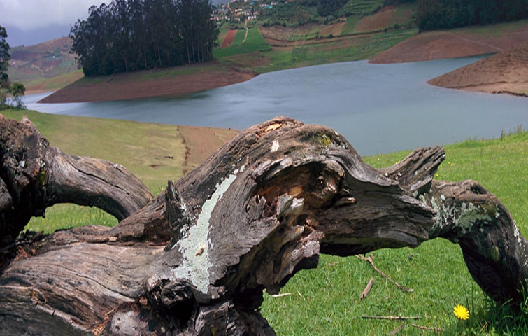 hillstation tour package