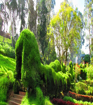 ooty-munnar