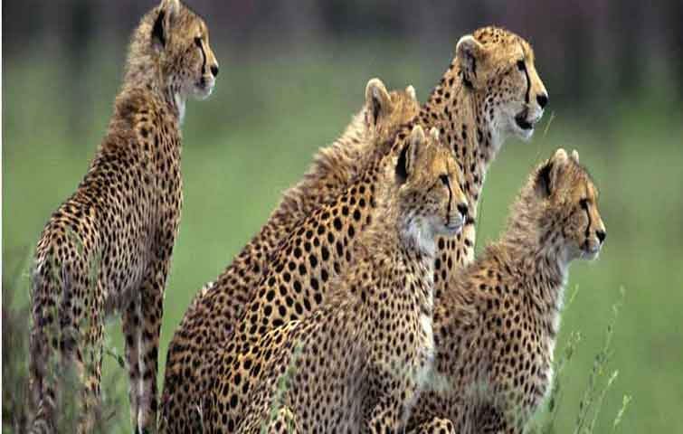 muthumalai tour package